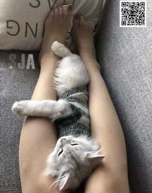 日韩殴美精品一区二区A片免费_DVD电影免费在线